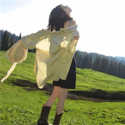再见，拿破仑