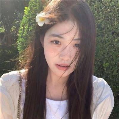 鸡密真相